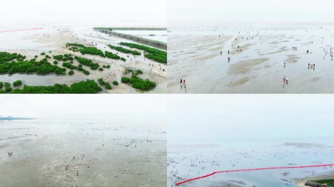 北海赶海银沙滩旅游