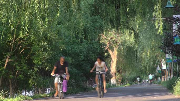 公园晨跑长跑骑行健身遛弯全民健身生态城市