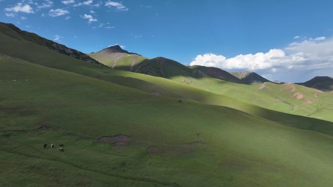 新疆伊犁伊昭公路航拍风景
