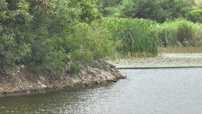 长焦航拍山东省荣成市北曲格村水库