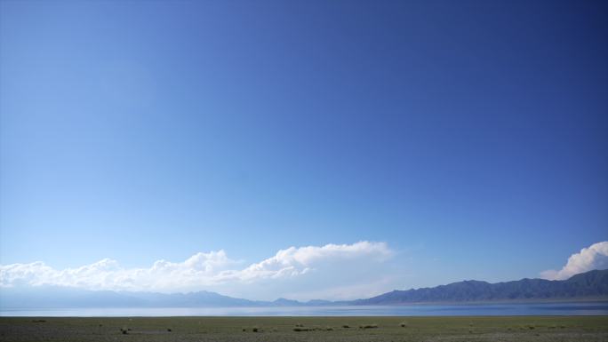 赛里木湖 新疆 天鹅 蓝天白云 草原