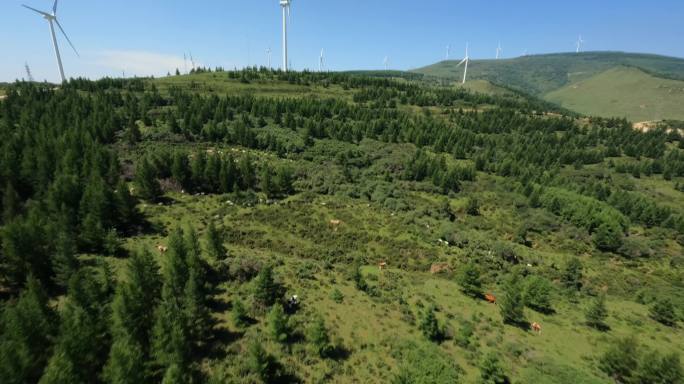 FPV拍摄在高山草原森林的风车