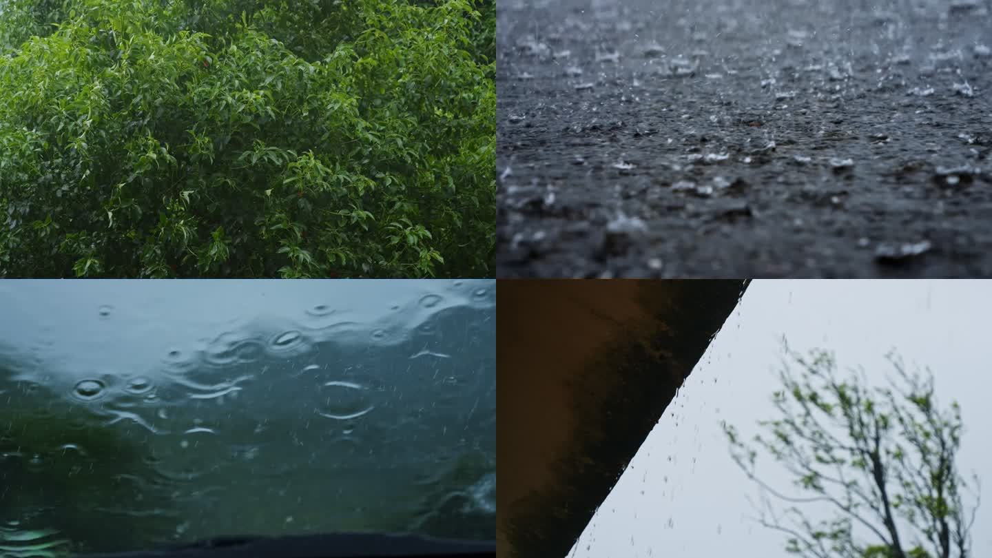 暴雨下雨树叶雨水滴落地面上