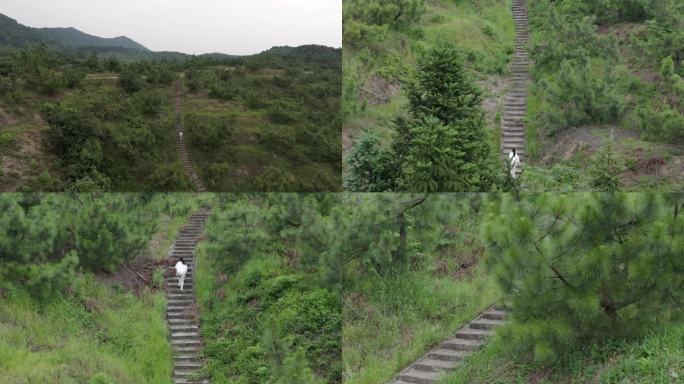 女人在山中行走 奔跑 航拍