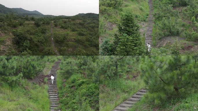 女人在山中行走 奔跑 航拍