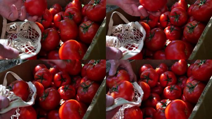 在蔬菜市场，一个男人的手拿着盒子里的成熟的koas西红柿，把它们放在一个可重复使用的网袋里，去买新鲜