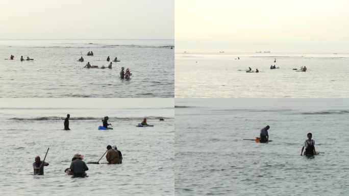 海边赶海挖蛤蜊海鲜