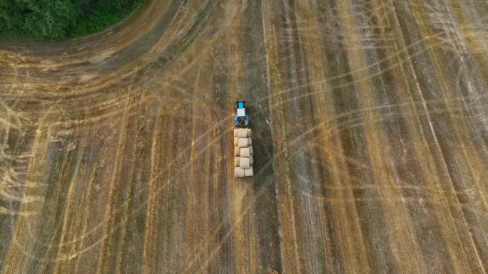 在田间晒干草。带圆打包机的拖拉机。在农田里捆干草。