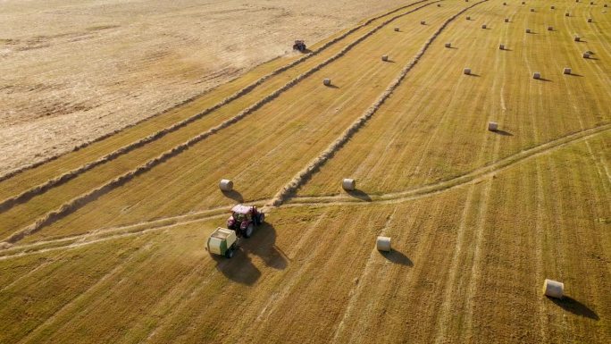 拖拉机收割机穿过农田，收集干草或稻草并打包成圆捆