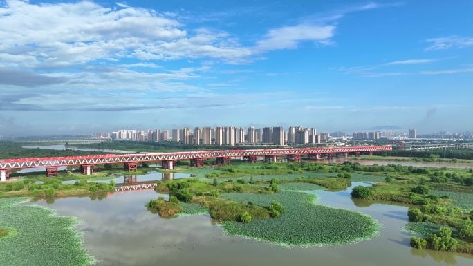 西安渭河湿地公园河堤路风景