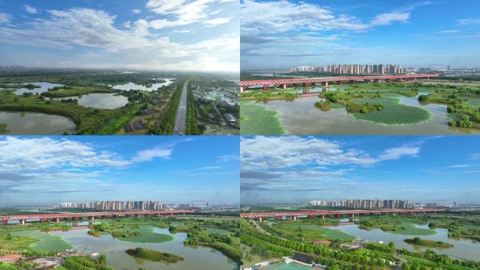西安渭河湿地公园河堤路风景