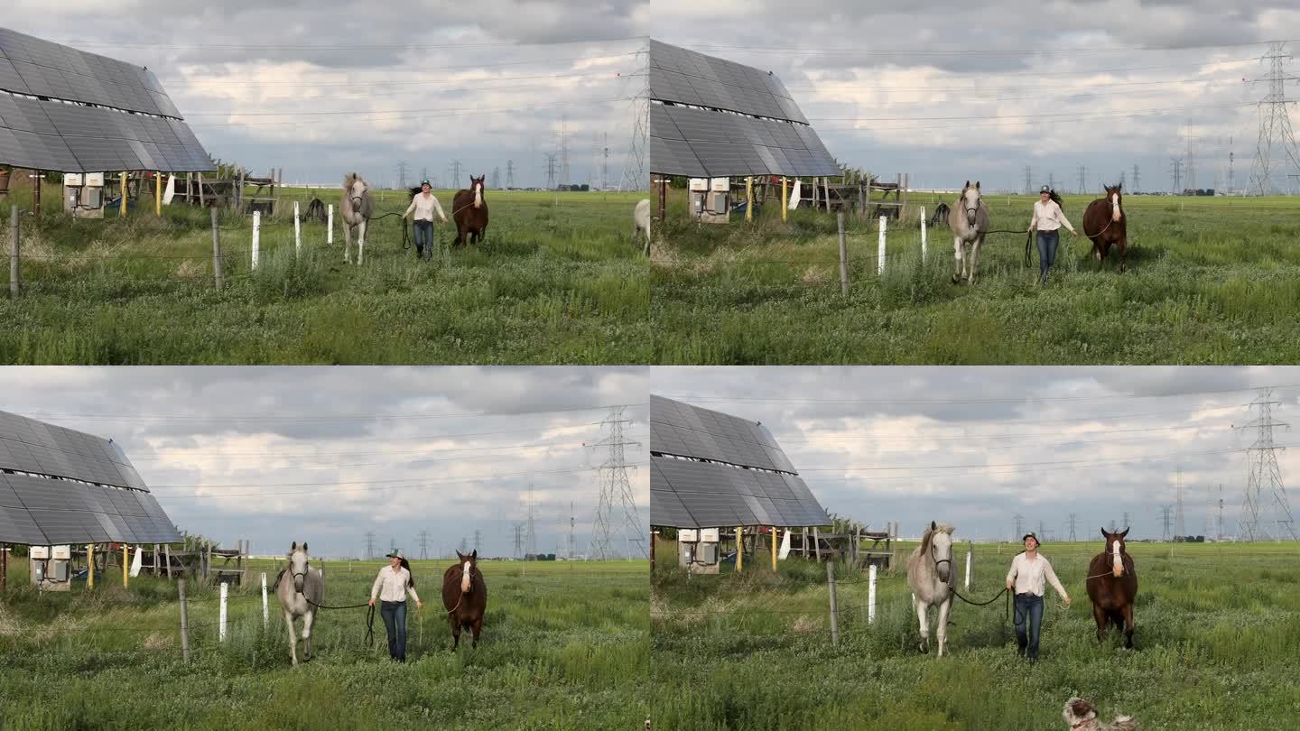 一位女农民在太阳能板旁遛马
