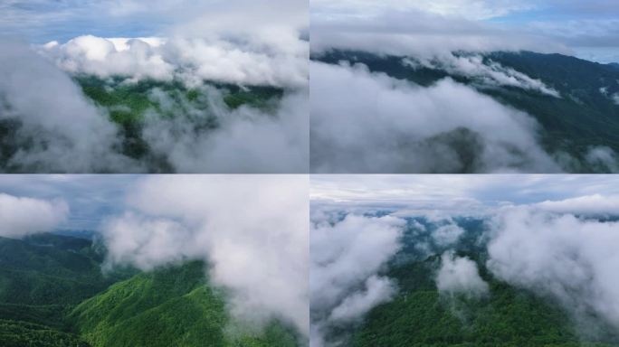 云朵白云大山航拍云海秦岭高山自然环境雾气
