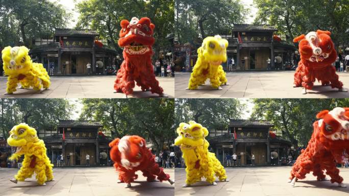 成都黄龙溪广场传统文化舞狮表演