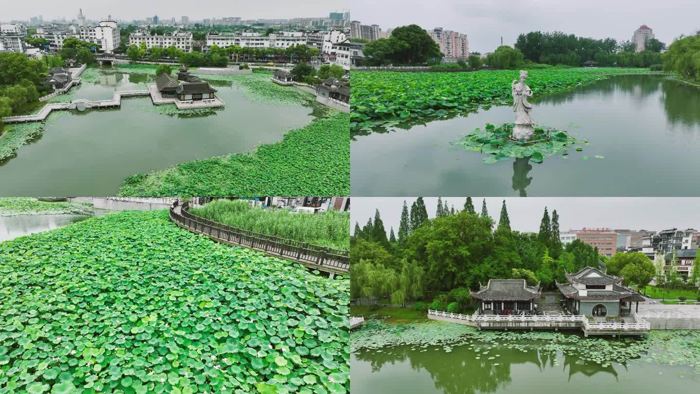 荷花池公园扬州航拍