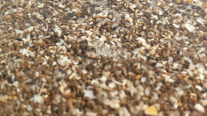 沙滩上的沙子和沉积物的特写