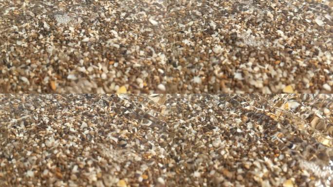 沙滩上的沙子和沉积物的特写