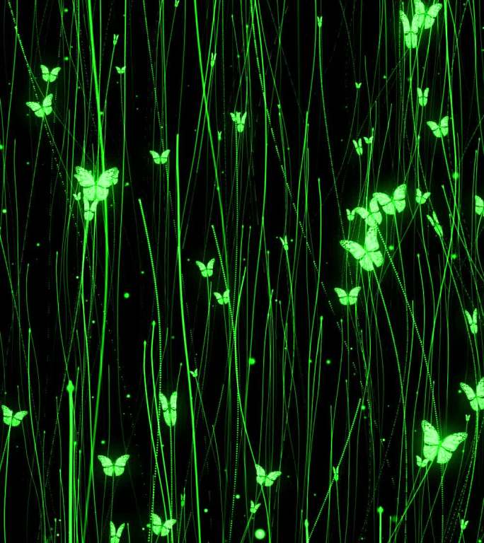竖屏蝴蝶粒子线条生长