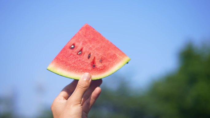 西瓜 节气 夏季小清新