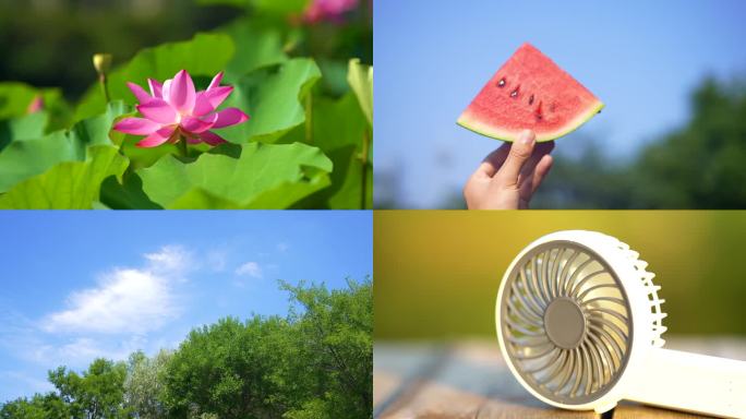 西瓜 节气 夏季小清新