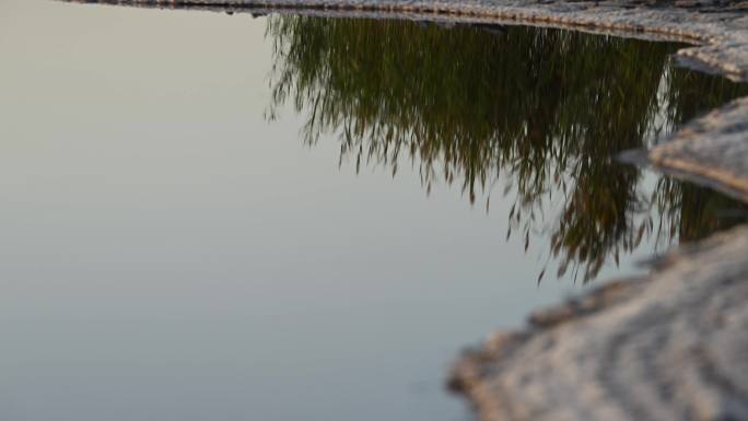 沙漠日出湖泊 日出  阳光 朝霞 荒漠