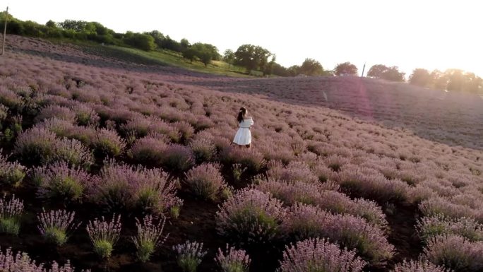 梦幻和鼓舞人心的航拍女子在日出时跑过薰衣草田。美丽的普罗旺斯自然和健康的生活方式4k