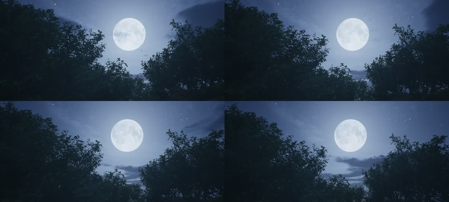 4k树枝间的圆月流云夜晚