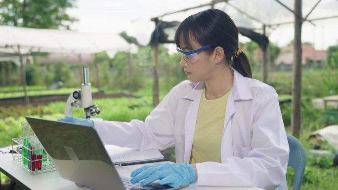 卓越的农业科学:亚洲女性植物学家确保土壤和蔬菜质量。