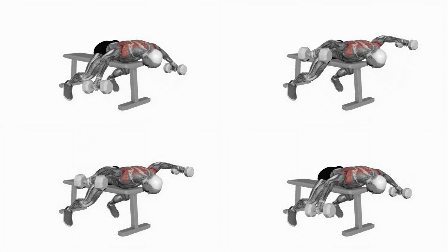 肌肉男做哑铃俯卧单臂后侧举健身的动画