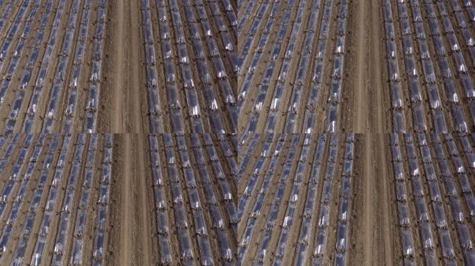 无人机拍摄西瓜种植地膜隧道温室设备航拍图