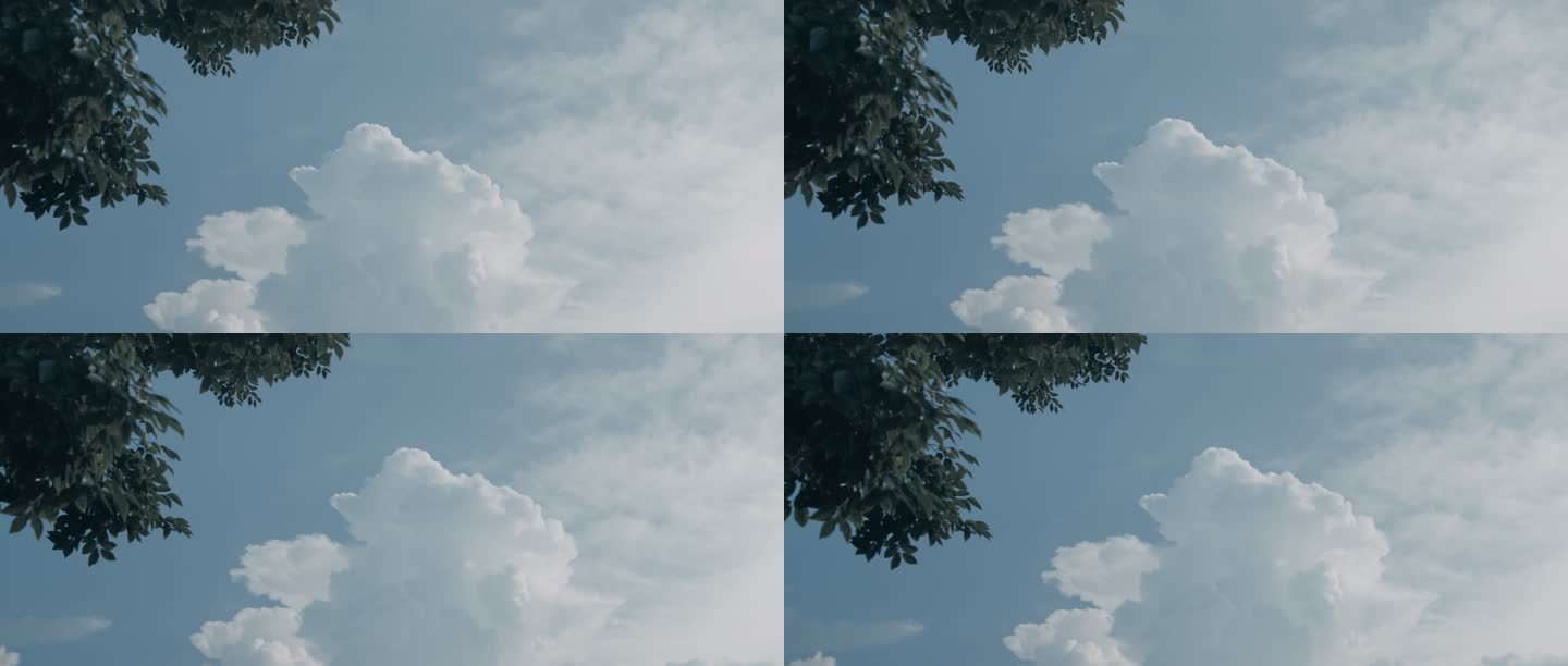 【4K】天空带树影空镜