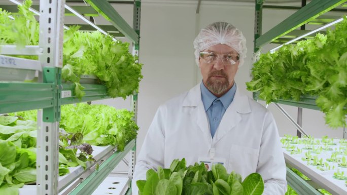 男科学家带着装有植物的木箱