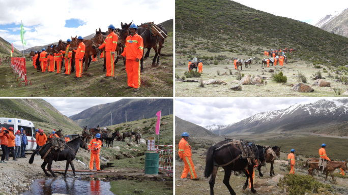 藏中联网安久拉山马帮运输视频