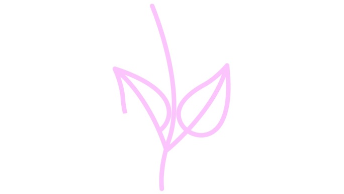 动画线性粉红色植物与叶子。树芽的图标。符号是逐渐画出来的。有机食品的概念，生态，农艺，收获。矢量插图