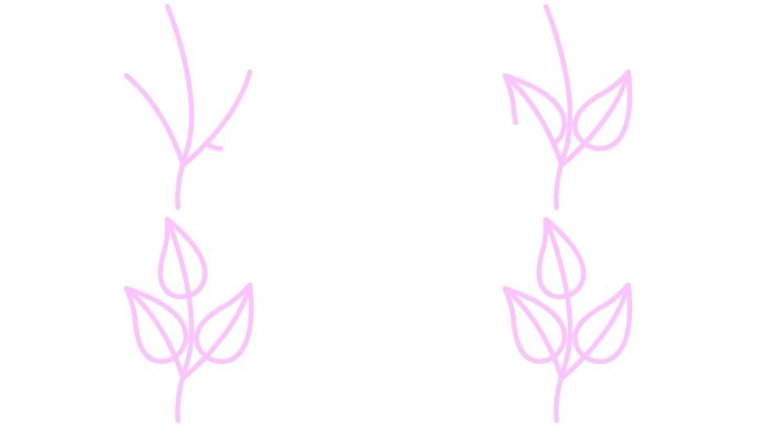 动画线性粉红色植物与叶子。树芽的图标。符号是逐渐画出来的。有机食品的概念，生态，农艺，收获。矢量插图