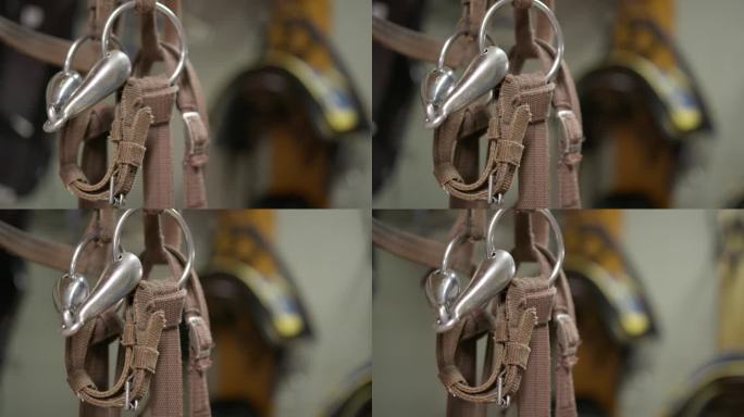 悬挂在赛马训练设施的马匹训练鼻环