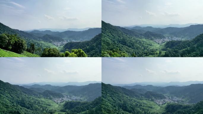 杭州西湖梅家坞茶园茶山4K