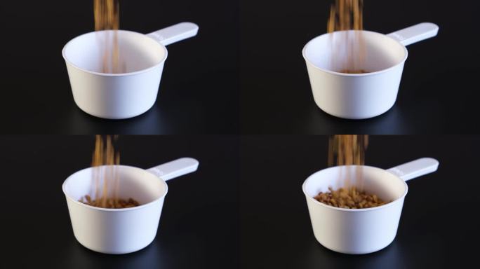 葫芦巴籽被倒入一个测量塑料勺。葫芦巴的健康种子。用于烹饪和医药。