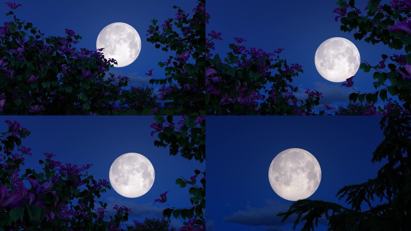 花好月圆月圆之夜八月十五的月亮明月月光