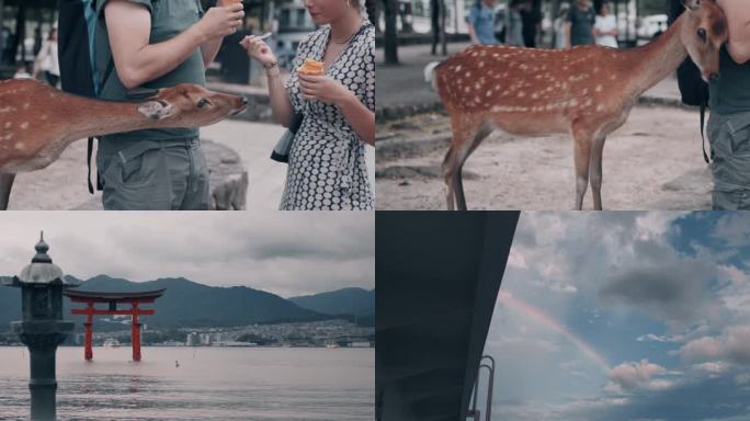 【4K】日本宫岛（严岛）风景、彩虹
