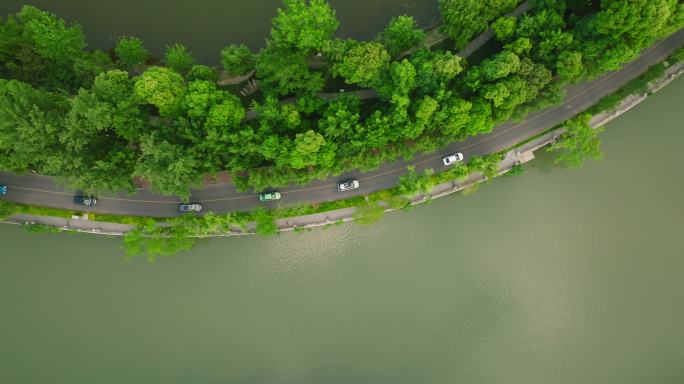 俯拍汽车行驶在成都市区湖边公路东湖公园
