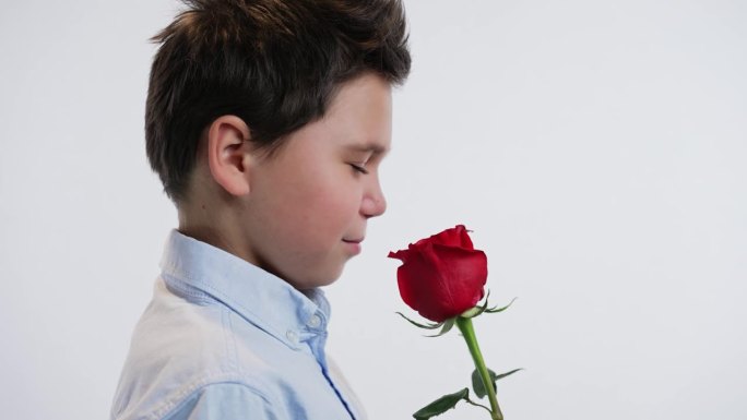 可爱的男孩送了一朵红玫瑰