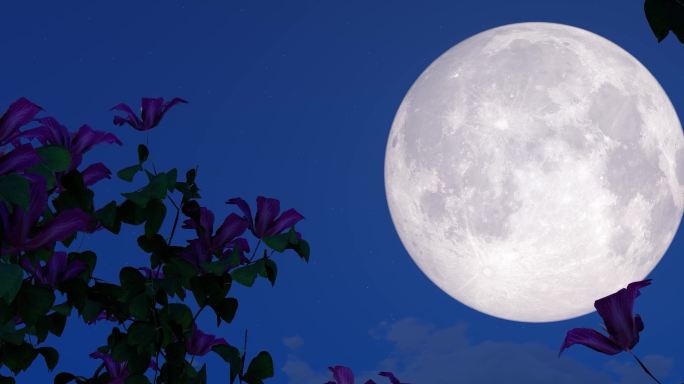 花好月圆月圆之夜月亮明月月光宽屏超宽屏