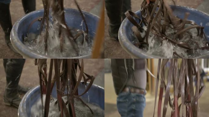 一名男子在马训练设施清洗马笼头并将其挂起来晾干