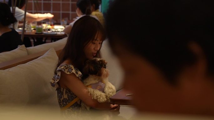 高端西餐厅 美女就餐 餐厅 宠物狗餐厅