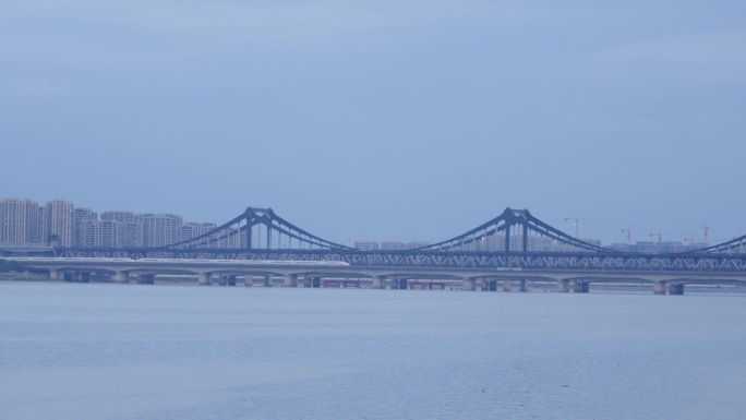 高速列车行驶在城市大桥上