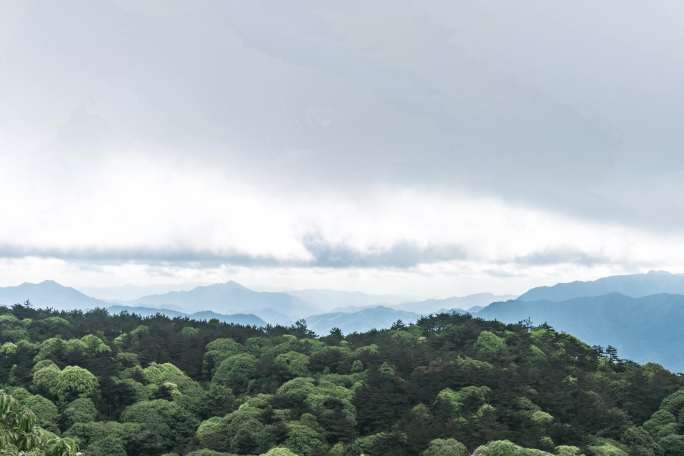 山谷延时阴天下雨