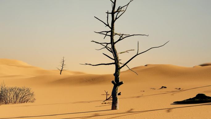 地球环境破坏荒漠化绿地退化土地干旱