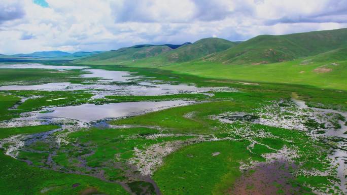 玉树隆宝湿地14