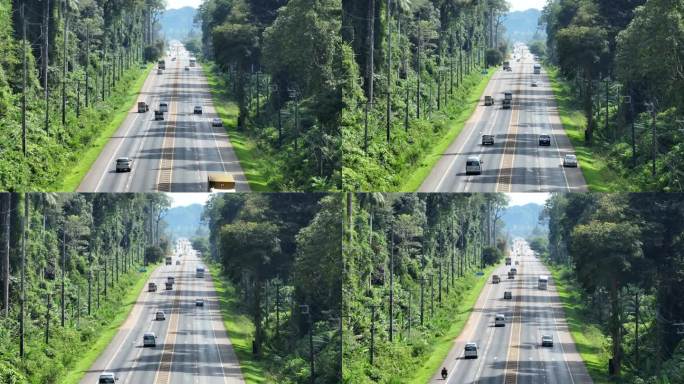 道路的空中无人机穿过泰国攀加省的森林，空中无人机镜头与电影般缓慢的全景相机运动穿过道路。